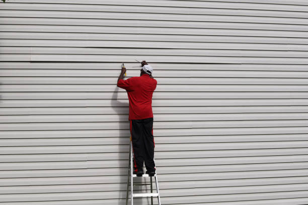 Best Custom Trim and Detailing for Siding  in Chula Vista, CA