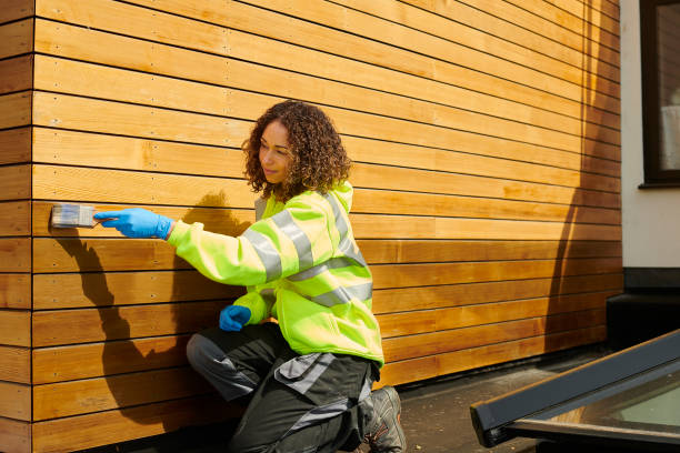 Affordable Siding Repair and Maintenance Services in Chula Vista, CA